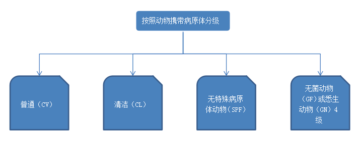 按動物攜帶病原體分級